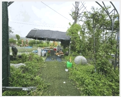  2025Ÿ��72180 ��� ��õ�� �źϸ� �������� 144      ����(��)���