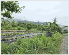  2025Ÿ��72180 ��� ��õ�� �źϸ� �������� 144      ����(��)���