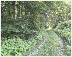  2025Ÿ��72482  ���������