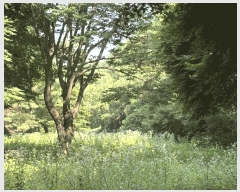  2025Ÿ��72482  ���������