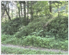  2025Ÿ��72482  ���������