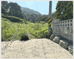  2025Ÿ��72482  ���������