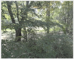  2025Ÿ��72482  ���������