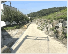  2025Ÿ��72482  ���������