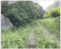  2025Ÿ��72482  ���������