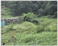  2025Ÿ��72524  �Ӿ߰��