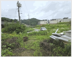  2025Ÿ��72524  �Ӿ߰��