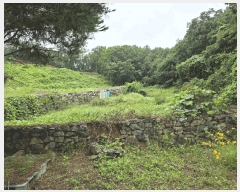  2025Ÿ��72524  �Ӿ߰��