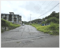  2025Ÿ��72524  �Ӿ߰��