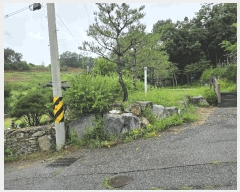  2025Ÿ��72524  �Ӿ߰��