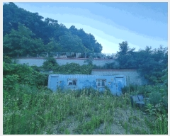  2025Ÿ��72641 ��� ��õ�� �źϸ� ��ä�� 715-3      ����(����)���