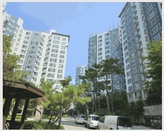  2025Ÿ��72657  ����Ʈ���