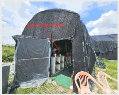  2025Ÿ��72746  ����