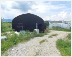  2025Ÿ��72746  ����