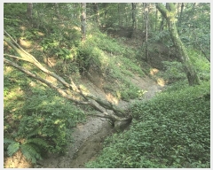  2025Ÿ��72774  ����