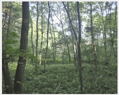  2025Ÿ��72774  ����