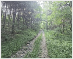  2025Ÿ��72774  ����