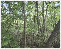  2025Ÿ��72774  ����