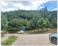  2025Ÿ��72774  ����