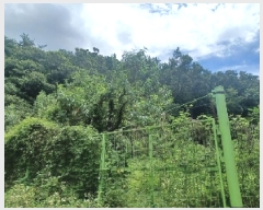  2025Ÿ��72774  ����