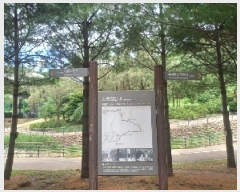  2025Ÿ��72774  ����