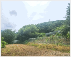  2025Ÿ��72782 ��� ��õ�� �ż��� �뱤�� ��72      ����(�Ӿ�)���