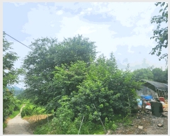  2025Ÿ��72782 ��� ��õ�� �ż��� �뱤�� ��72      ����(�Ӿ�)���