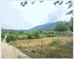  2025Ÿ��72782 ��� ��õ�� �ż��� �뱤�� ��72      ����(�Ӿ�)���