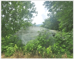  2025Ÿ��72782 ��� ��õ�� �ż��� �뱤�� ��72      ����(�Ӿ�)���