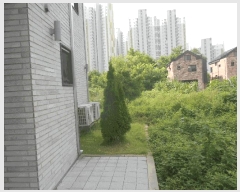  2025Ÿ��72886 ��� ���ֽ� ������ 1017-3       ���ð��