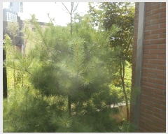  2025Ÿ��72886 ��� ���ֽ� ������ 1017-3       ���ð��