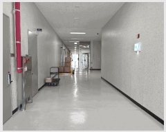  2025Ÿ��72983 ��� ���ֽ� ������ 987-1 ���ֿ�����Ŭ����1 5��514ȣ     ����Ʈ��������