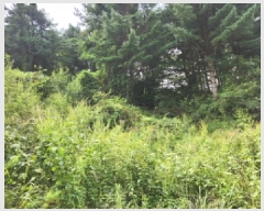  2025Ÿ��73121  �����