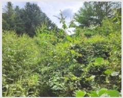  2025Ÿ��73121  �����