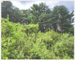  2025Ÿ��73121  �����