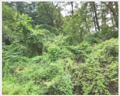  2025Ÿ��73121  �����