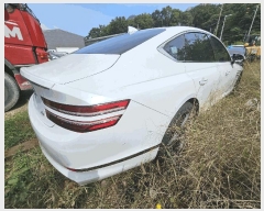  2025Ÿ��73192 ���ֽ� �鼮�� �漺�� 492-3 ����������      �������