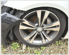  2025Ÿ��73222 ���ֽ� �鼮�� �漺�� 492-3 ����������      �������