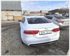  2025Ÿ��73543  �������