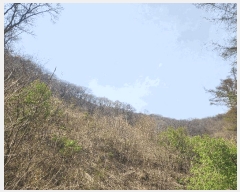  2025Ÿ1408  ֽ   48-1      (Ӿ)