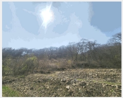  2025Ÿ1408  ֽ   48-1      (Ӿ)