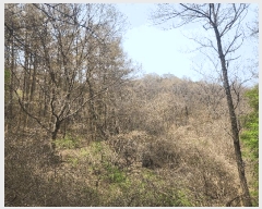  2025Ÿ1408  ֽ   48-1      (Ӿ)