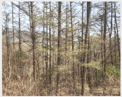  2025Ÿ1408  ֽ   48-1      (Ӿ)