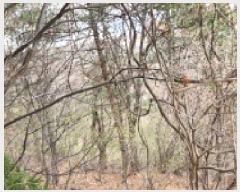  2025Ÿ1408  ֽ   48-1      (Ӿ)