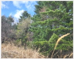  2025Ÿ1408  ֽ   48-1      (Ӿ)