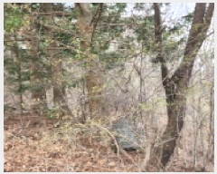  2025Ÿ1408  ֽ   48-1      (Ӿ)