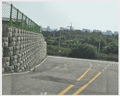  2025Ÿ2708  ֽ ϵ 442-19       (Ӿ)