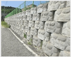  2025Ÿ2708  ֽ ϵ 442-19       (Ӿ)