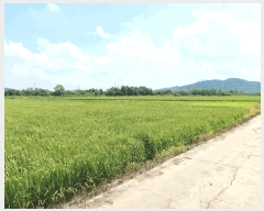  2025Ÿ��3190  ����