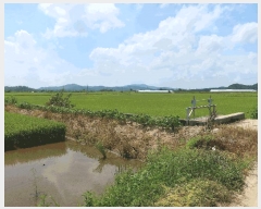  2025Ÿ��3190  ����